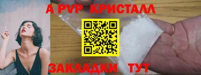 прущие крисы Моздок