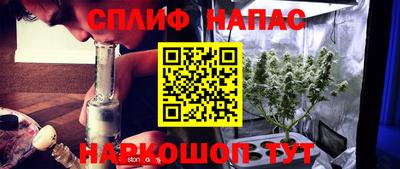 прущие крисы Моздок