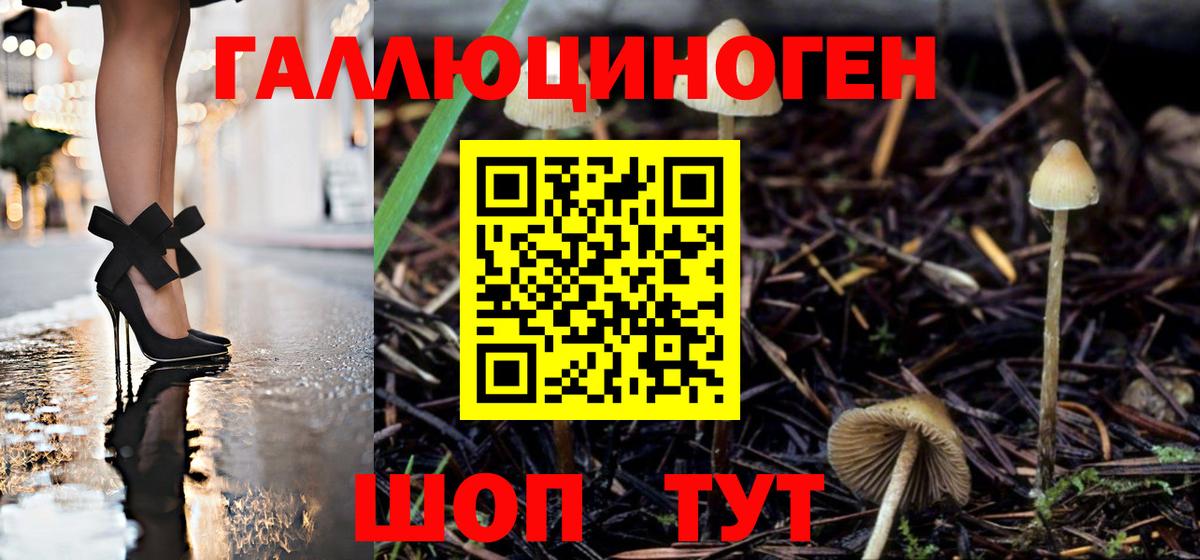 Улан-Удэ  Галлюциногенные грибы прущие грибы  Вход с VPN 